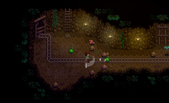 Stardew Valley gameplay depicting a farm and cultivated plots